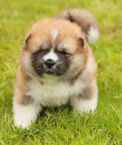 186833397 4485215798173332 5138621634953785268 n