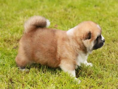 187170336 4485215934839985 6207071243484129025 n