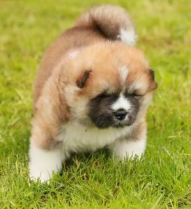 187210850 4485215818173330 491564266488952019 n