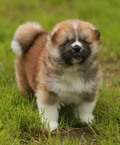 187651816 4501802239848021 6713053320167565911 n