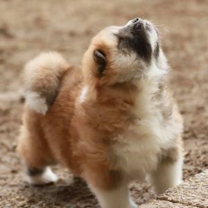 188608356 4501802096514702 8146607233859471541 n