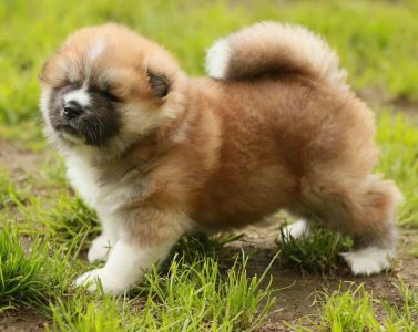 188815827 4501802483181330 4764455177431845914 n