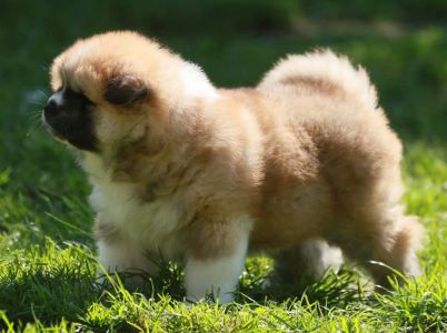 192707789 4526198497408395 8967464786952239815 n