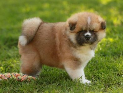 192734742 4526199357408309 1890188091669535045 n