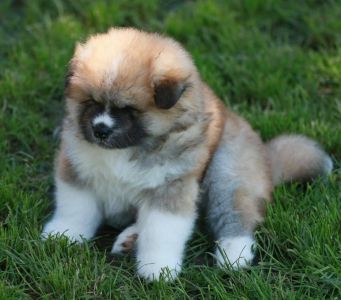 192748530 4526199170741661 3363808497323361431 n