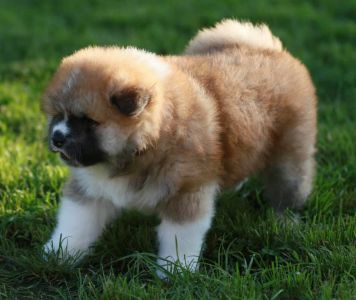 192790898 4526199194074992 1214131238205135759 n