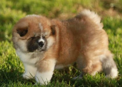 192905926 4526198114075100 4035178411603820525 n