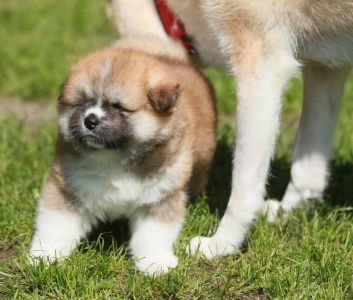 193002307 4526198844075027 3937407634274574333 n