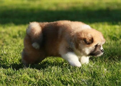 193085154 4526198260741752 5865202463923474031 n