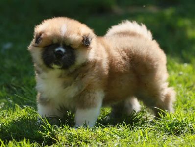 193500999 4526198360741742 4878367626529851641 n