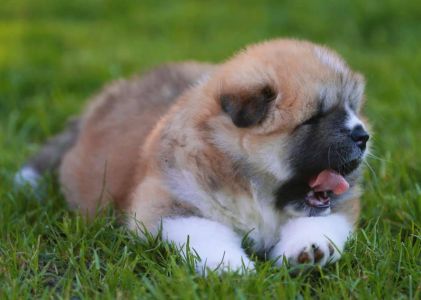 193900335 4526198250741753 1751037414328222530 n