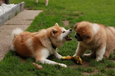 215956190 4644222448939332 5572987475042956312 n