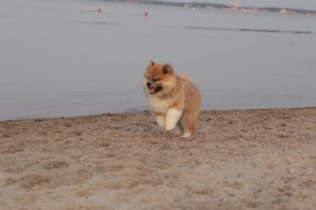 216165762 4644222688939308 4186773529679942806 n