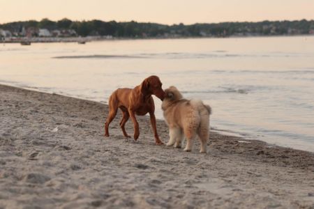 216233423 4644221582272752 1870402993876791971 n