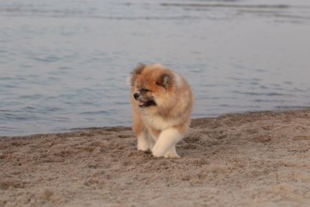 216297782 4644221358939441 2425621305104474093 n