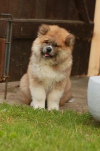 216394847 4644222075606036 8448421915971249368 n