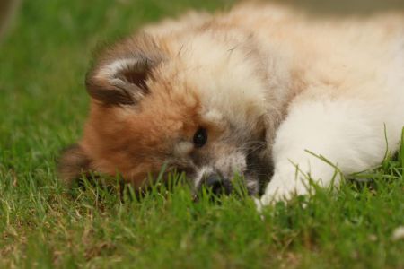 216415492 4644222312272679 4994987036727953740 n