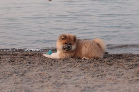 216447528 4644222092272701 4778571963010864286 n