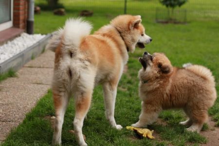 216450725 4644221598939417 572663244347910592 n