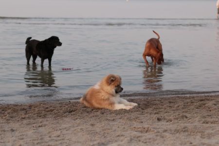 216461248 4644222332272677 6431233134528410918 n