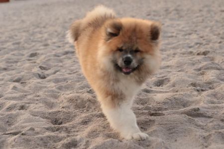 216492135 4644222592272651 8761174410745619359 n