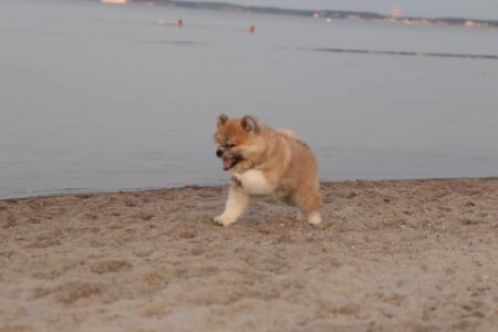 216626974 4644221462272764 7142474131265319527 n