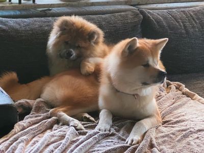 226077315 4699098056785104 748544774571761584 n