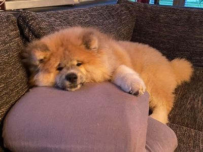 229922760 4715602861801290 8382893789906349868 n