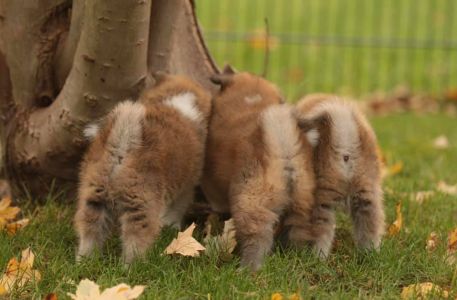 248149913 4977423662285874 7329428344171412653 n