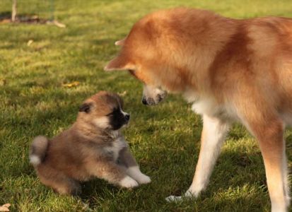 248160464 4977416075619966 7944945957107180622 n