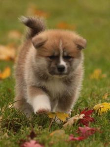 248161334 4977416315619942 1136454465450274051 n