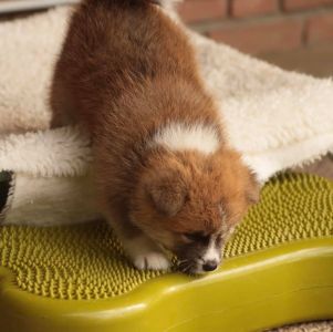 248175267 4977423265619247 7569930511042722790 n