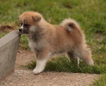 248177501 4977424108952496 8764056900596158416 n