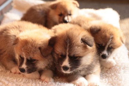 248212078 4977426045618969 6665501251648976139 n