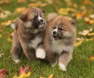 248217649 4977416362286604 8717910782207886389 n