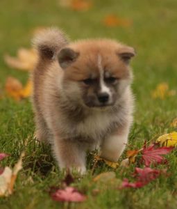 248220121 4977423475619226 2944643819138080763 n