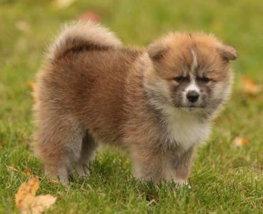 248222204 4977414698953437 4511990691551981889 n