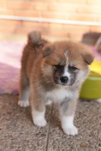 248222225 4977426468952260 1507109448473517259 n