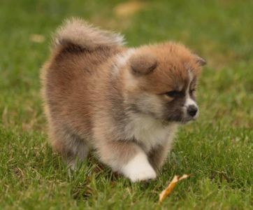 248245533 4977414902286750 2781383484548370277 n