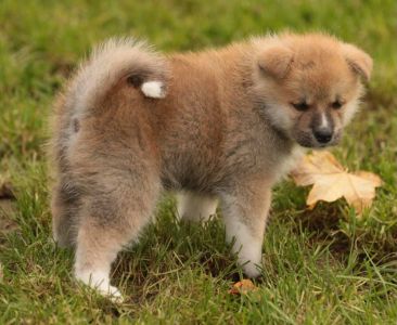 248245699 4977412918953615 784940126614304105 n