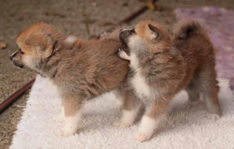 248251239 4977416772286563 6286188767381013105 n