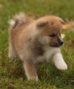 248257742 4977416612286579 7005149449409591339 n