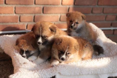 248274590 4977425838952323 7696452011161418229 n