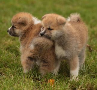 248281556 4977417012286539 3664194002132810438 n