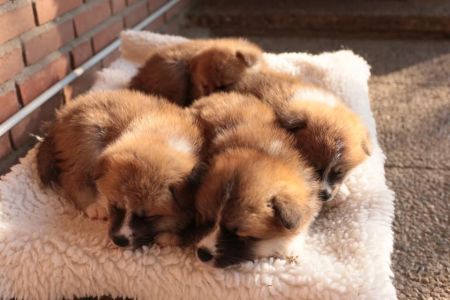 248302394 4977426552285585 6316150148185710419 n