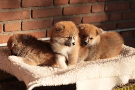 248327721 4977425422285698 8852120557305907219 n