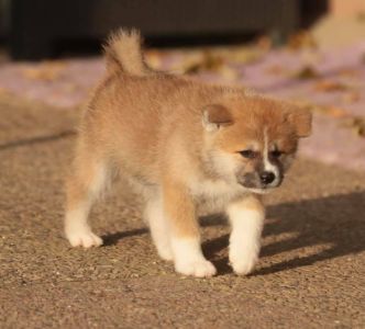 253474230 5021122471249326 1003321510072903113 n