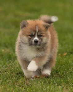 253617493 5021117631249810 6797040209486240442 n