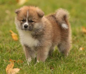 253656525 5021122627915977 8070505530466565212 n