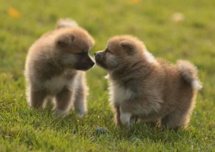 253672489 5021122767915963 3851942377900270375 n